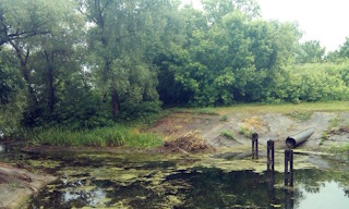 Экологические услуги от ПромМир-Бкл в Белой Калитве - стоимость от 12445 руб.