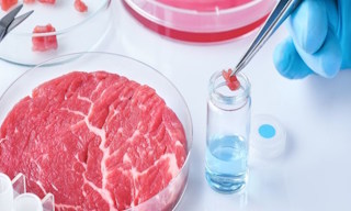 Лабораторный анализ пищевых продуктов по СанПиН в Белой Калитве в октябре