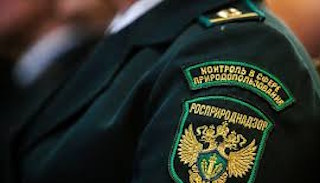 Подготовка к проверке Росприроднадзора в Белой Калитве от ПромМир-Бкл, стоимость услуги от 20742 руб.